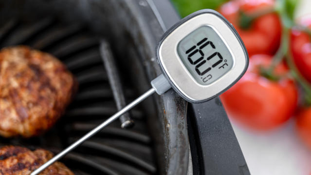 How to use a meat thermometer properly - Reviewed