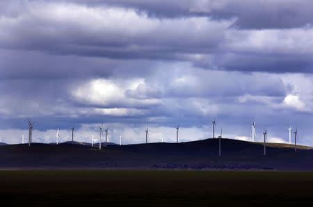 Wind turbines at a wind farm are seen on the hills surrounding Lake George, located on the outskirts of the Australian capital city of Canberra, in this October 15, 2014 file photo. REUTERS/David Gray/Files