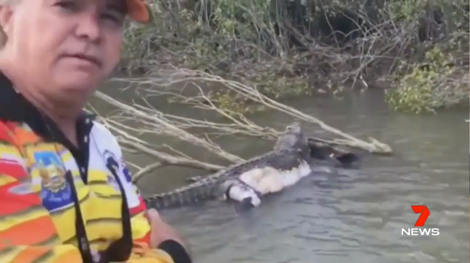 Queensland crocodile Bismarck found dead in Cardwell