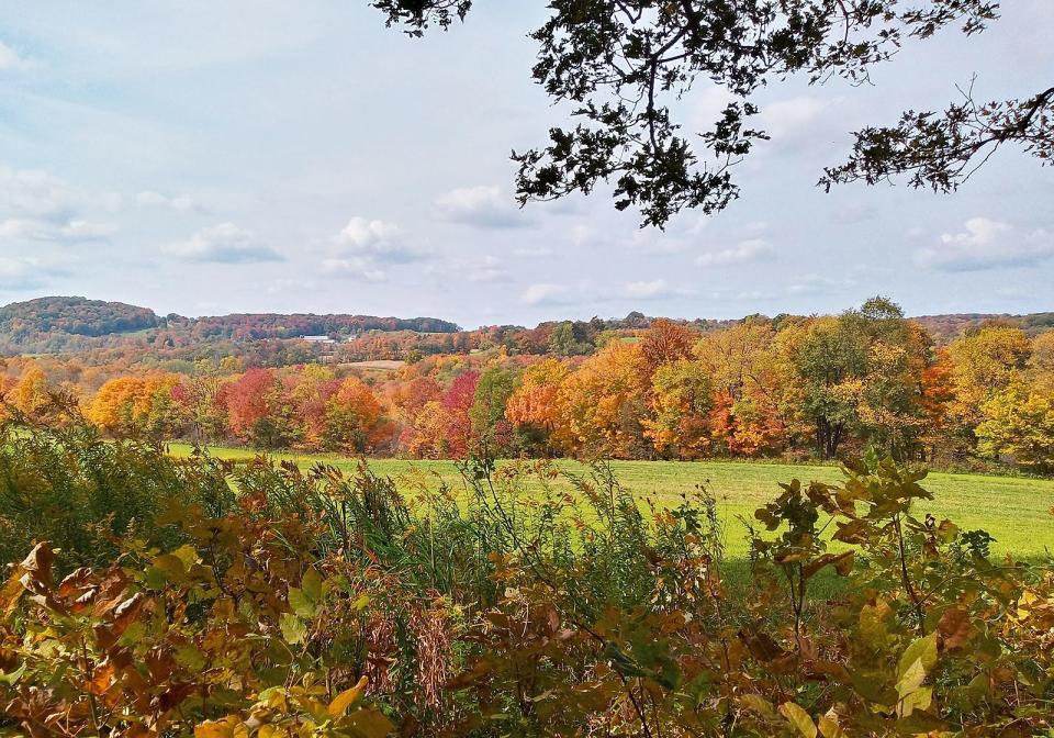 Experts are anticipating another year of vibrant leaves in October in Pennsylvania. Here's a view of a farmer's field in October 2020 in Lincoln Township, Somerset County.