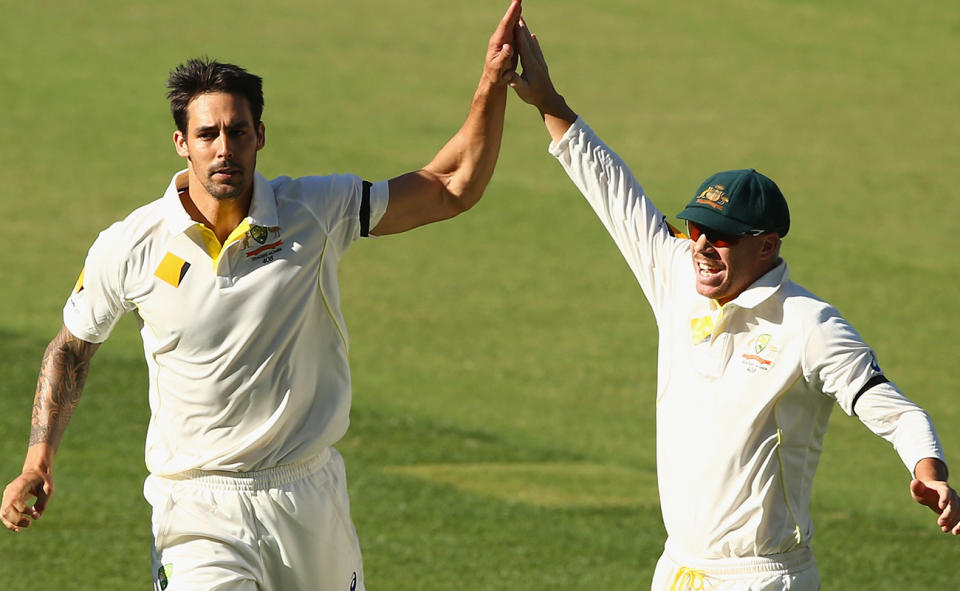 Mitchell Johnson and David Warner, pictured here in action for Australia in 2014. 