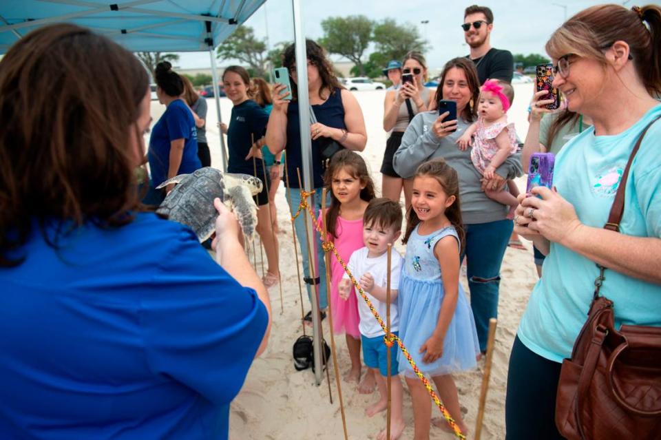 Dr. Alexa Delaune, Vice President of Veterinary Services and Research for the Mississippi Aquarium, shows off a Kemp’s Ridley sea turtle to onlookers before its release back into the Mississippi Sound on Thursday, April 18, 2024. This year the Mississippi Aquarium rehabilitated 40 cold stunned Kemp’s Ridley sea turtles.