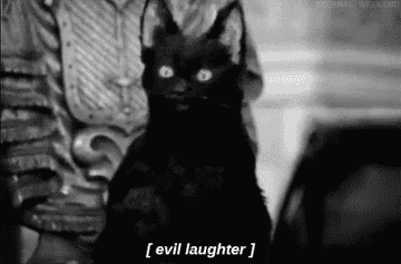Salem the cat from "Sabrina, the Teenage Witch" laughs in an evil way