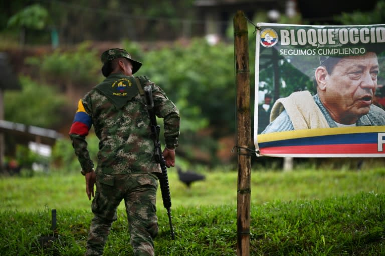 In part of the Amazon, each tree felled is approved by the so-called Central General Staff (EMC), as the FARC dissident group calls itself (Raul ARBOLEDA)