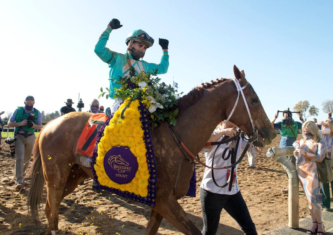 Whitmore, with Irad Ortiz Jr. up, won the $2 million Breeders’ Cup Sprint at Keeneland in 2020 along with the flower garland that goes to every victor.