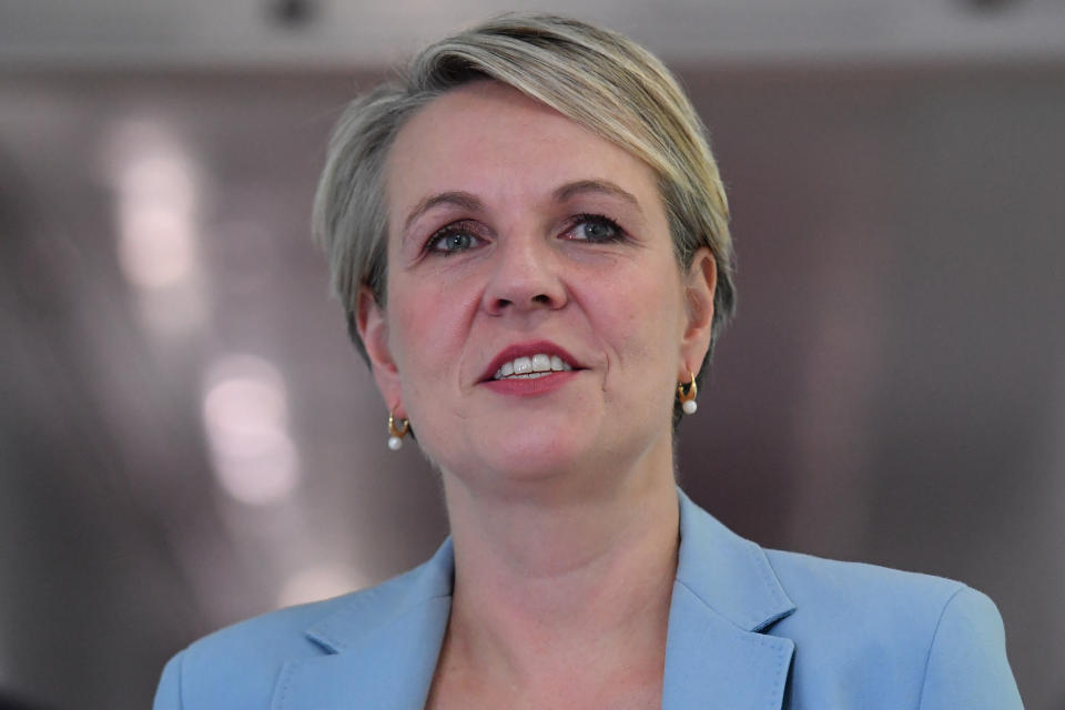 Shadow Minister for Education and Women Tanya Plibersek speaks to media.