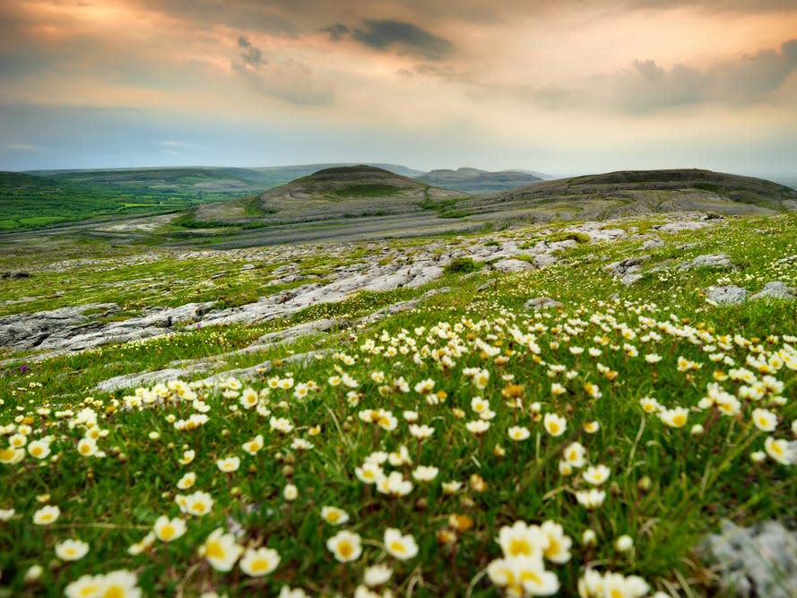 The Burren is located in North County Clare, Ireland.