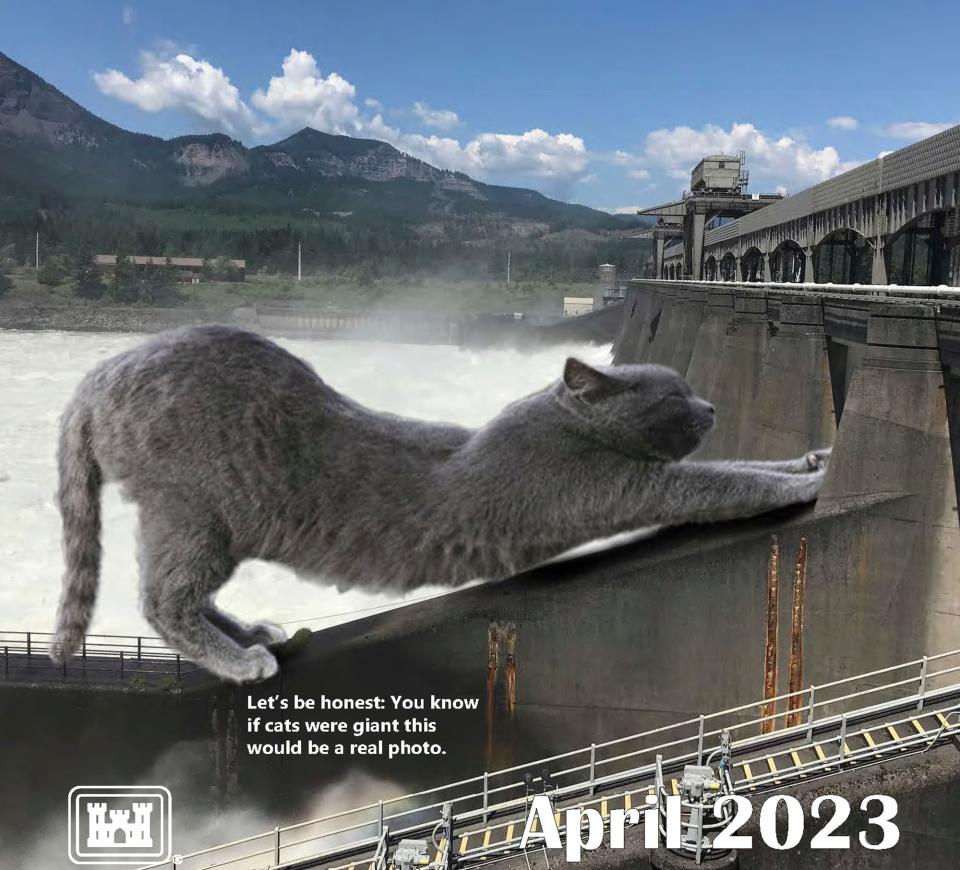 Musthave cat calendar for 2023 by Army Corps of Engineers depicts