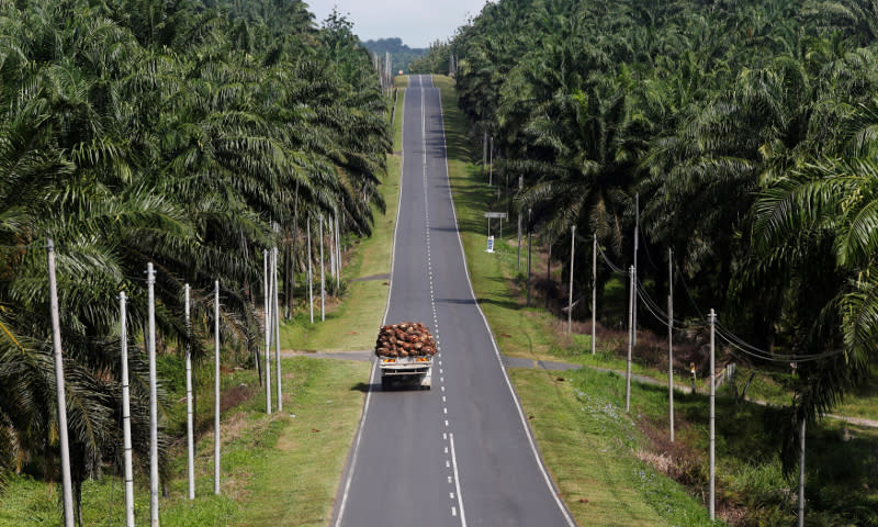 A truck carrying oil palm fruits passes through Felda Sahabat plantation in Lahad Datu in Sabah February 20, 2013. Kazakhstan mainly imports Malaysian palm oil, rubber products, furniture and electronic components, while exporting crude oil mainly, alongside ferrous metals and pipes. — Reuters pic