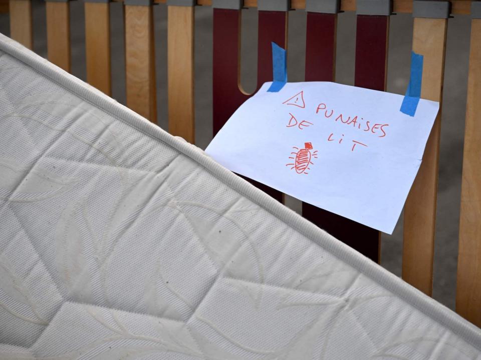 mattress leaning against wooden slats of a bedframe outside on the street with a paper taped to it reading "punaises de lit" which means bedbugs in French