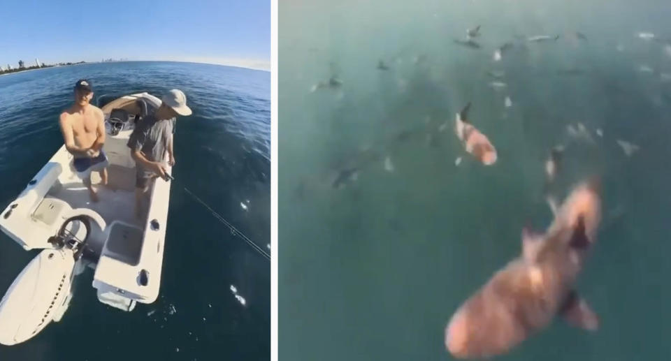 Ryan Davis and Matt Shaw in their fishing boat (left) and the footage of the bronze whaler sharks underneath the water (right).