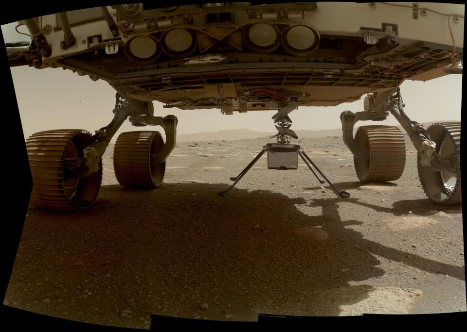 NASA's Ingenuity helicopter can be seen here with all four of its legs deployed before dropping from the belly of the Perseverance rover on March 30, 2021, the 39th Martian day, or sol, of the mission. This image was taken by the WATSON (Wide Angle Topographic Sensor for Operations and eNgineering) camera on the SHERLOC (Scanning Habitable Environments with Raman and Luminescence for Organics and Chemicals) instrument, located at the end of the rover's long robotic arm.  / Credit: NASA/JPL-Caltech/MSSS