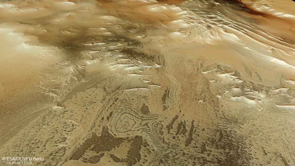 A look across a part of Mars nicknamed Inca City due to its resemblance to the Inca ruins. Traces of small, dark features known as "spiders" can be seen that formed from carbon dioxide gas warming up in sunlight and breaking through slabs of overlying ice.