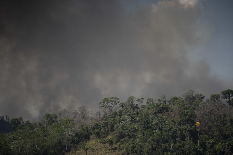 Fire consumes the Amazon rainforest in Altamira, Brazil, Tuesday, Aug. 27, 2019. Fires across the Brazilian Amazon have sparked an international outcry for preservation of the world's largest rainforest. (AP Photo/Leo Correa)