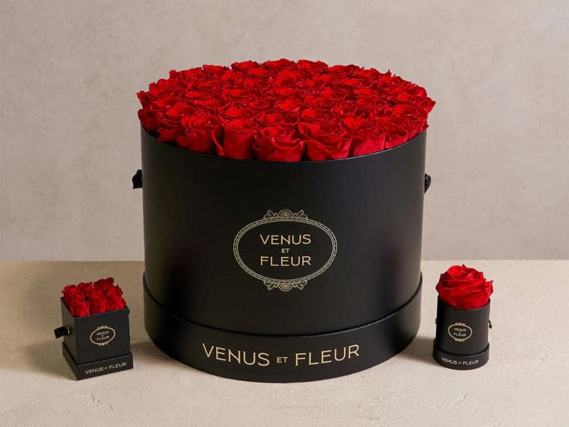 Eternity Roses Venus Et Fleur