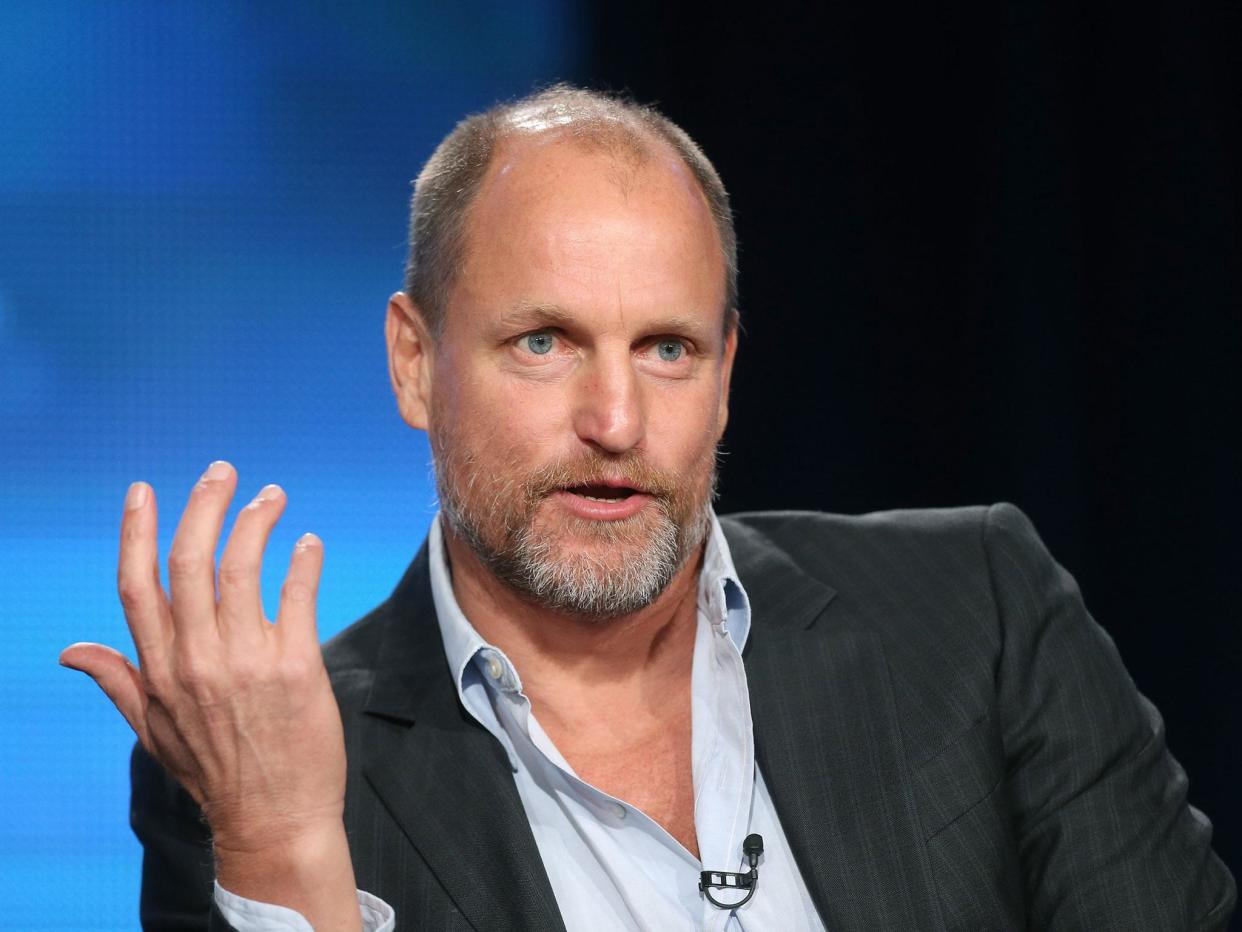 Woody Harrelson will appear in the upcoming 'Star Wars' spin off film 'Solo: A Star Wars Story': Frederick M Brown/Getty Images