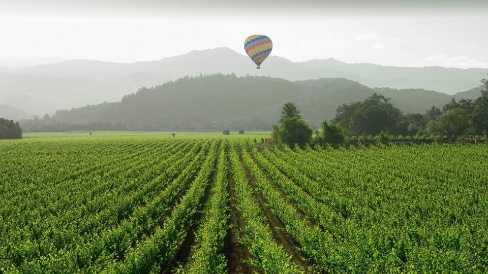 Napa Valley