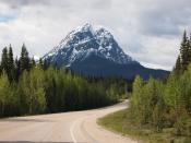 <p><b><a rel="nofollow noopener" href="http://www.icefieldsparkway.ca/" target="_blank" data-ylk="slk:The IceFields Parkway;elm:context_link;itc:0;sec:content-canvas" class="link ">The IceFields Parkway</a> – Alberta</b><br>This wintery name alone justifies a chilling and magical road trip. The world famous route stretches 232 km right through the Canadian Rocky Mountains from Jasper to Banff in Alberta. It has a stellar reputation for being one of the world's most stunning road trips. You will drive through two national parks with views of glaciers, mountains, lakes and waterfalls, many which are completely frozen over. Lots of wild animals call these parks homes and depending on when you travel you may catch glimpses of moose, cougars, wolves and elk. (If you travel during warmer months you may spot grizzly and black bears). Allow plenty of time to stop and take in the beauty of these icy glaciers.<br><b>Must See: </b><a rel="nofollow noopener" href="http://www.pc.gc.ca/eng/pn-np/ab/jasper/activ/hiver-winter/canyon.aspx" target="_blank" data-ylk="slk:Maligne Canyon in Jasper National Park;elm:context_link;itc:0;sec:content-canvas" class="link ">Maligne Canyon in Jasper National Park</a> where you can go ice climbing, explore the canyon, and ancient caves – guides are available for hire. (Walter Lim/Flickr) </p>