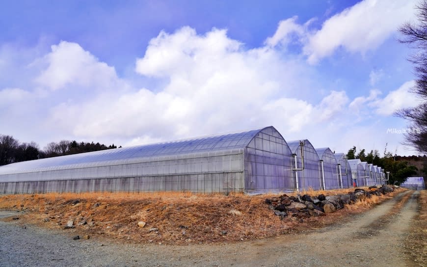 日本栃木県｜那須高原農園 いちごの森