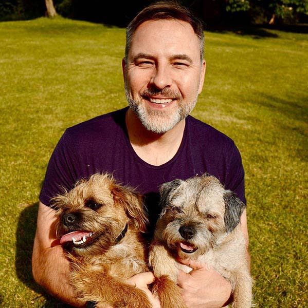 david-walliams-dogs