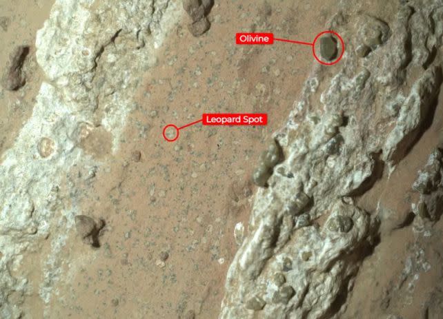 Some of the features of Chevaya Falls. (<a href="https://www.nasa.gov/missions/mars-2020-perseverance/perseverance-rover/nasas-perseverance-rover-scientists-find-intriguing-mars-rock/" rel="nofollow noopener" target="_blank" data-ylk="slk:NASA/JPL-Caltech/MSSS;elm:context_link;itc:0;sec:content-canvas" class="link ">NASA/JPL-Caltech/MSSS</a>)