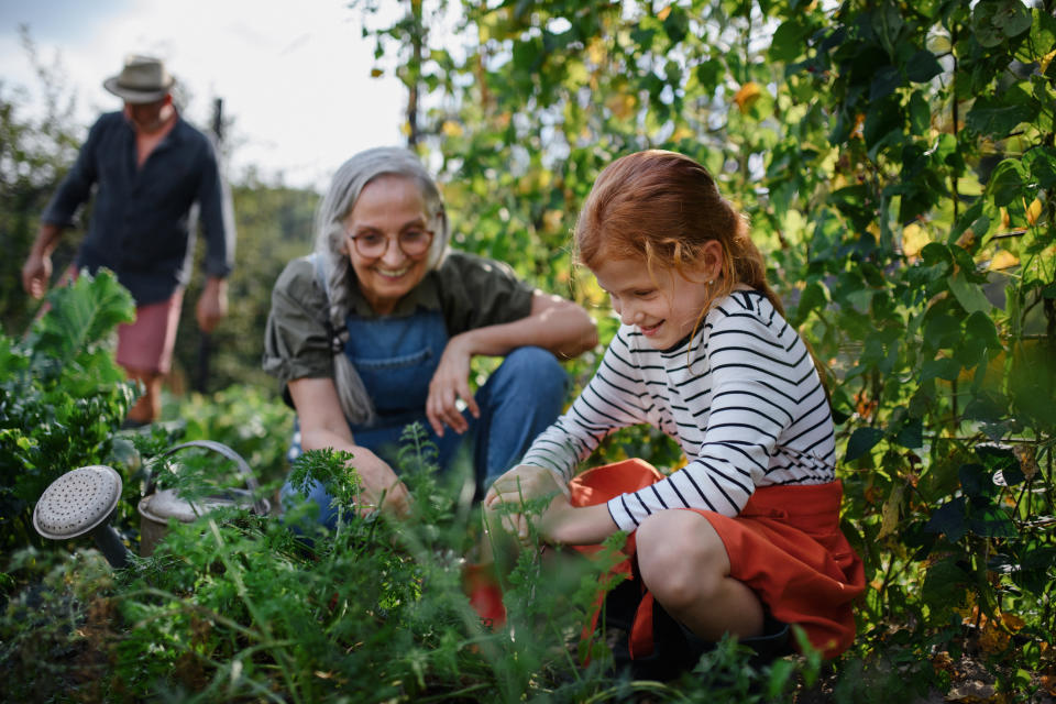 An older woman with glasses and gray hair and a young girl with red hair wearing a striped shirt and red skirt are gardening together, while a man is in the background