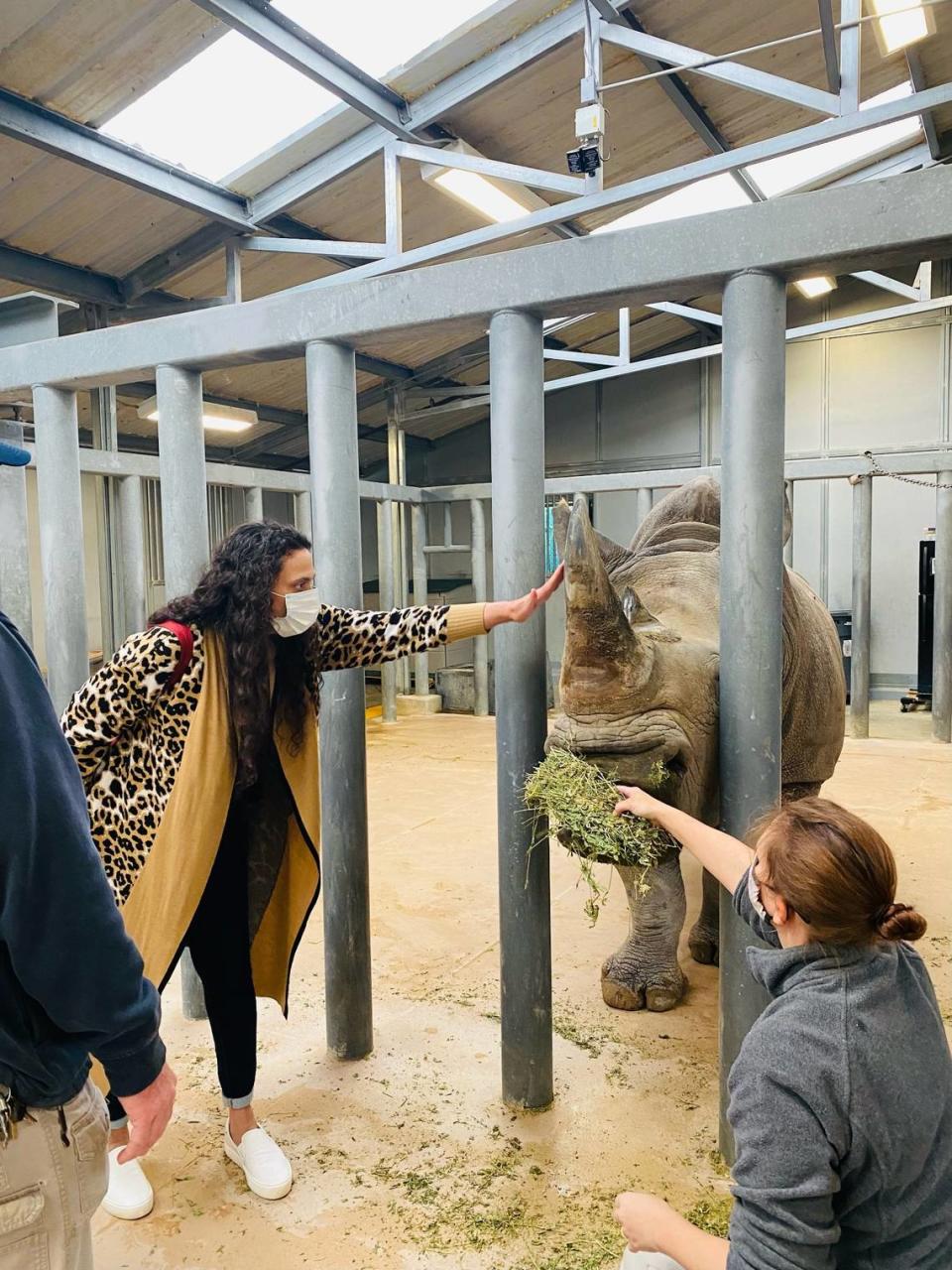 Elk Grove Mayor Bobbie Singh-Allen visits a rhino enclosure at the Houston Zoo in 2021. Singh-Allen has visited zoos around the country to try to prepare for the proposed move of the Sacramento Zoo to Elk Grove.