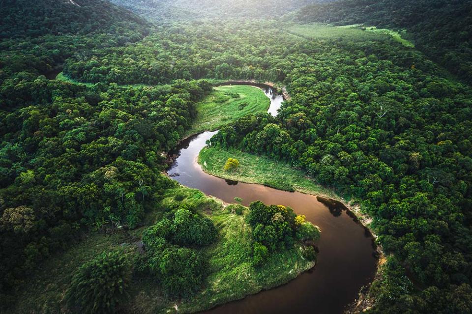 亞馬遜河（Image Source : Getty Creative）