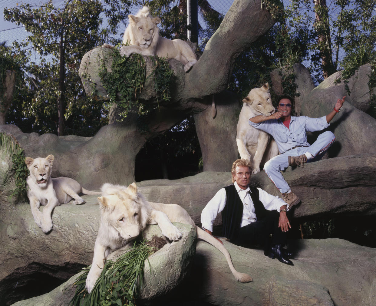 The duo pose with the stars of their Vegas residency: a small pride of white lions. 