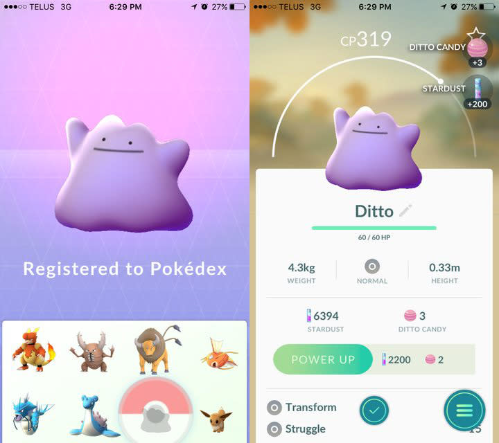 Ditto  Pokédex