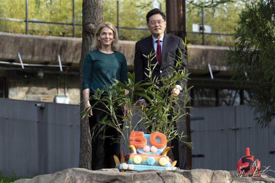 Zoo Director Brandie Smith and Chinese Ambassador to the U.S. Qin Gang poses with the fruitsicle cake during the celebration of the Smithsonian's National Zoo and Conservation Biology Institute, 50 years of achievement in the care, conservation, breeding and study of giant pandas at the Smithsonian's National Zoo in Washington, Saturday, April 16, 2022. (AP Photo/Jose Luis Magana)