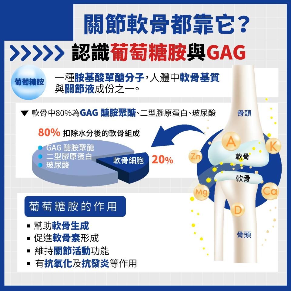 葡萄糖胺-GAG醣胺聚醣