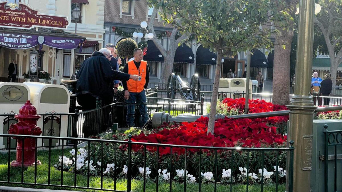 Disneyland lamppost falls and injures 3 visitors during high winds – Orange  County Register