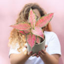 <p>Bergamotte organise une vente de plantes afin de récolter des fonds et aider les chercheurs de la fondation Gustave Roussy<b>. </b>Pour chaque bouquet vendu, 1 € sera reversé à la fondation. Vente en ligne et en lors d’un atelier parisien.</p><p> <b>Atelier Bergamotte</b><br> Du 6 au 8 octobre<br> 14, rue de la Corderie<br>75003 Paris</p><p>Plus d’info <a href="https://www.eventbrite.fr/e/billets-latelier-bergamotte-vente-de-plantes-et-de-fleurs-715343801567" rel="nofollow noopener" target="_blank" data-ylk="slk:ici;elm:context_link;itc:0;sec:content-canvas" class="link ">ici</a></p><br><a href="https://www.bergamotte.fr/" rel="nofollow noopener" target="_blank" data-ylk="slk:Acheter;elm:context_link;itc:0;sec:content-canvas" class="link ">Acheter</a>