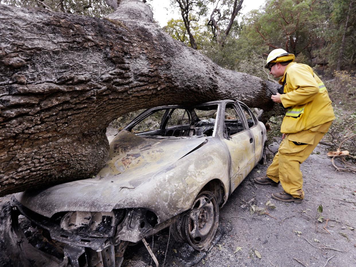 A firefighter looks into a car hit by a fallen tree in the Valley wildfire (AP Photo/Elaine Thompson)