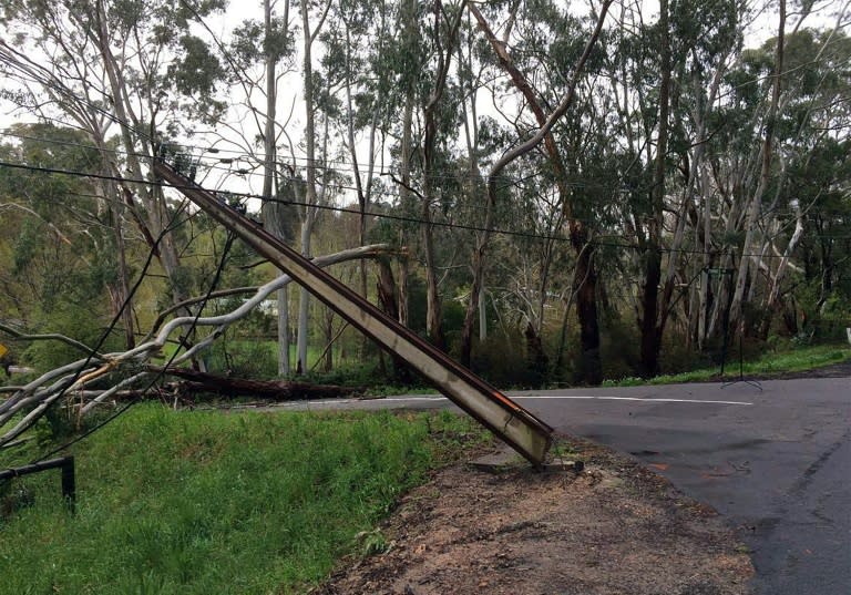 A downed power line and trees uprooted by severe thunderstorms, torrential rain and large hailstones on the outskirts of Adelaide