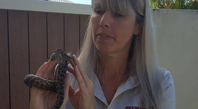 Snake Catcher Sunshine Coast’s Heather McMurray holds the Spotted Stimson’s Python. Source: Facebook/ Snake Catcher Sunshine Coast