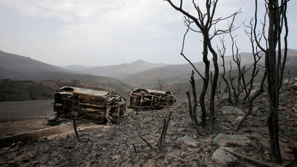 PHOTO: Burnt trees and vehicles are pictured in the aftermath of a wildfire in Bejaia, Algeria, July 25, 2023. (Ramzi Boudina/Reuters)