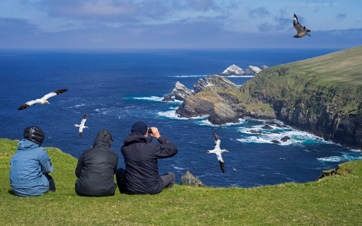 The Hermaness National Nature Reserve is a globally significant bird reserve