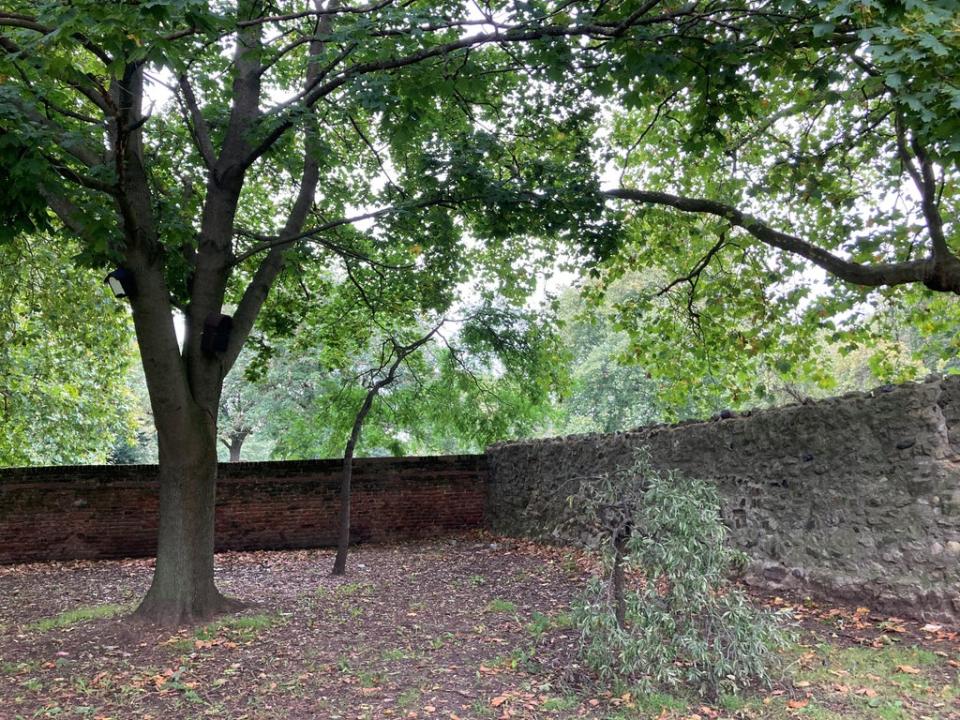 A churchyard in Barking, east London, where the body of Jack Taylor, 25, was found (PA) (PA Wire)