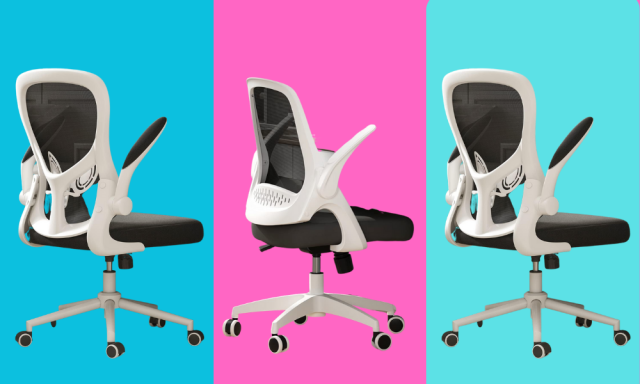 Hbada office chair review: A budget-friendly companion for working from  home