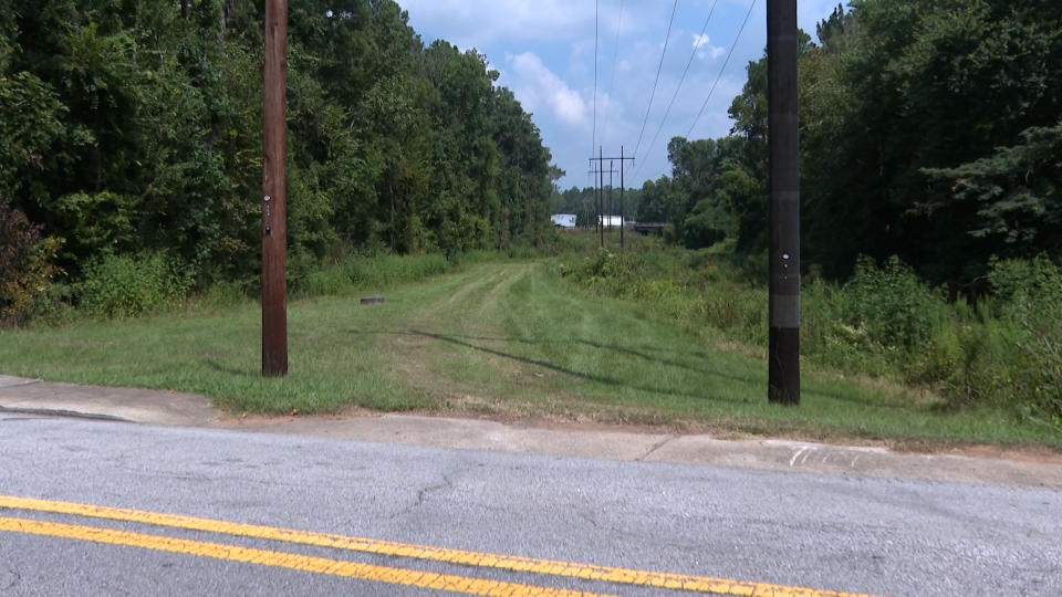 A grassy area underneath power lines between two walls of green trees.  (WXIA)