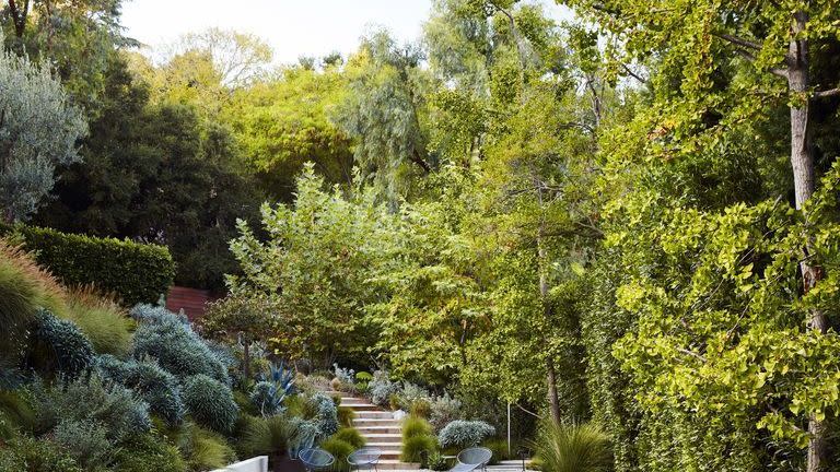 a swimming pool surrounded by trees