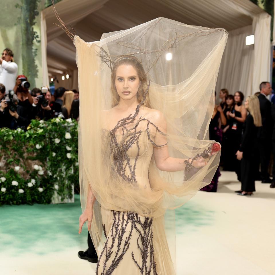 Person in a sheer dress with branch-like embellishments and a flowing veil at a gala event