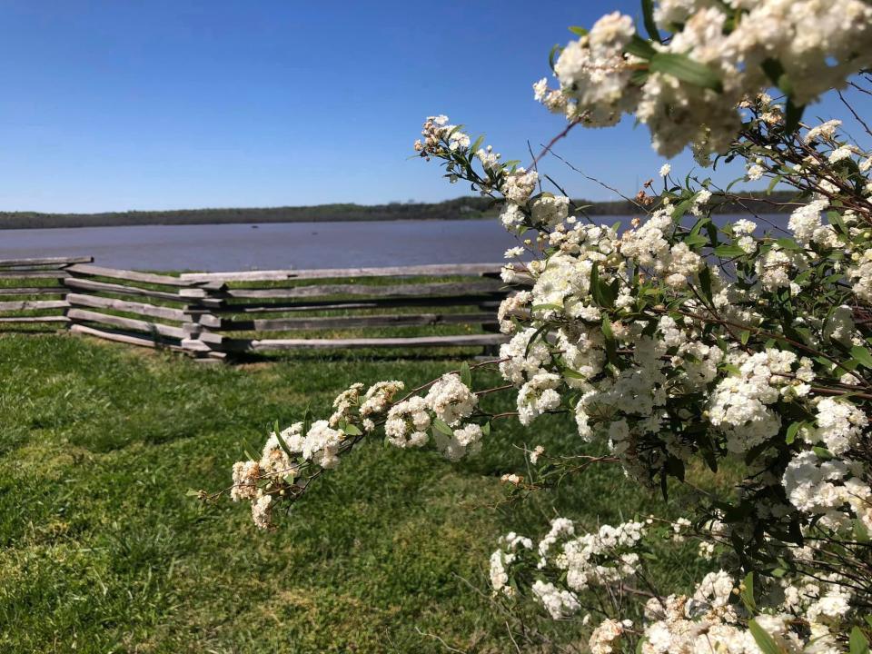 Approximate confluence of Appomattox and James Rivers at historic City Point in Hopewell, Virginia on April 7, 2024.