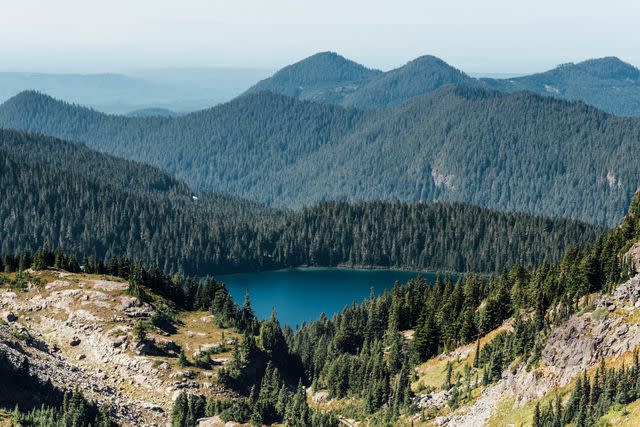 <p>Irjaliina Paavonpera/Travel + Leisure</p> Mount Rainier Naitonal Park.