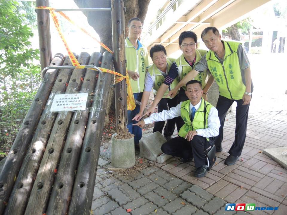 ▲八卦山風景區公園內木質仰臥起坐遭白蟻蛀空，隨便一踢竟湧出大量白蟻。（圖／記者陳雅芳攝，2017.9.5）