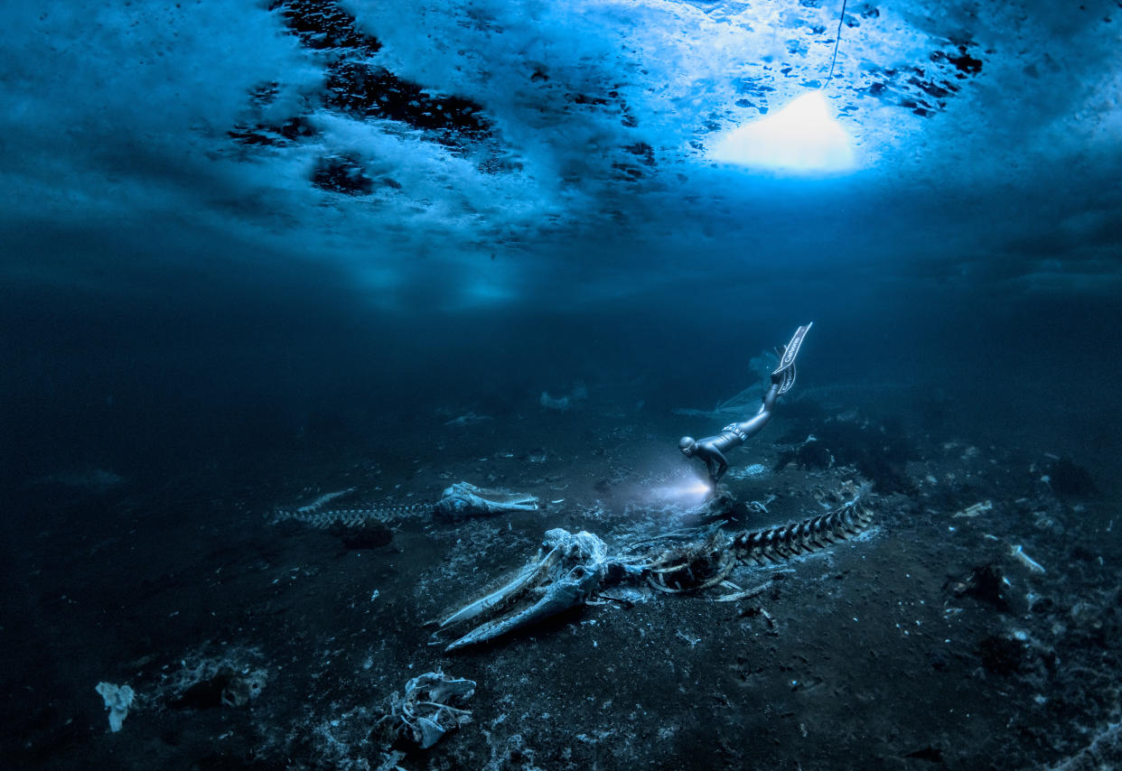 Image caption: Whale Bones Country taken: Greenland Location: Tasiilaq Camera make: NikonZ7 II Lens: Nikon 8-15mm Fisheye ISO: 500 Aperture: f4.5 Shutter: 1/60 Lighting used: No lights Housing: Nauticam Z7 II