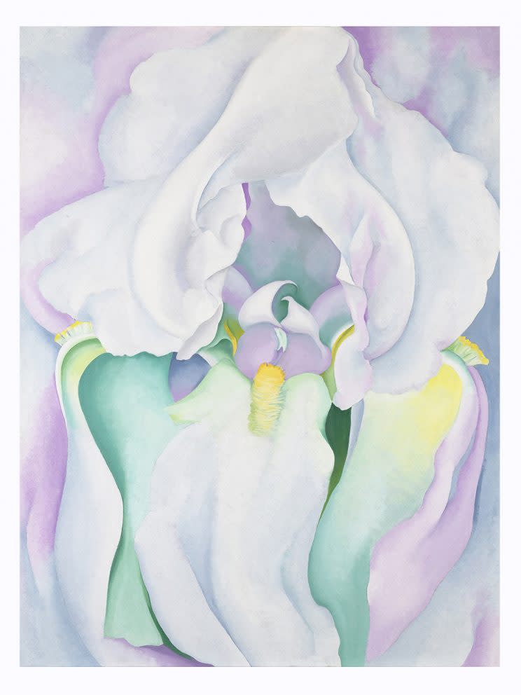 Georgia O’Keeffe White Iris, 1930 (Collection: Virginia Museum of Fine Arts, Richmond. Gift of Mr. and Mrs. Bruce C. Gottwald. Photo: Katherine Wetzel © Virginia Museum of Fine Arts)