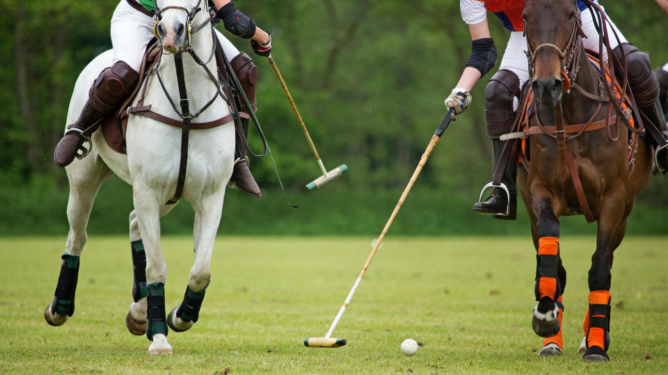Horse, Netherlands, Polo, Polo players challenging for the ball - Stock image, Sport, Summer